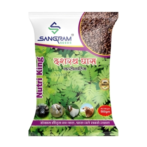 Hedge-Lucerne-Velimasal-Dasrath-Grass-Seeds-For-Cattle's-Fodder-500-Gram-Sangram-Seeds